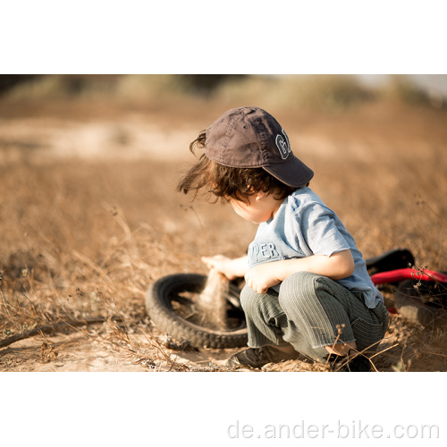 Kinderfahrrad 3 in 1 Mini Baby Laufrad